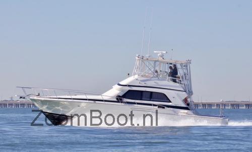 Bertram 50 Convertible specificaties
